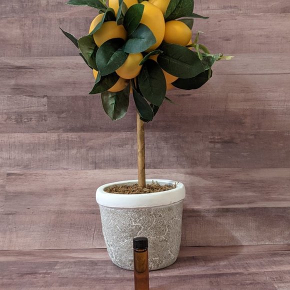 Aveda VALENCIA Key Element #7 Air Nature RETIRED RARE ORIGINAL FORMULA - Picture 12 of 12